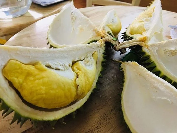 Múi sầu riêng Ri6